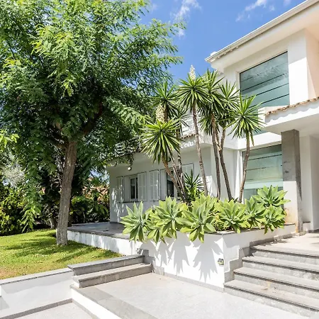 Pedro, Llenaire Port de Pollenca